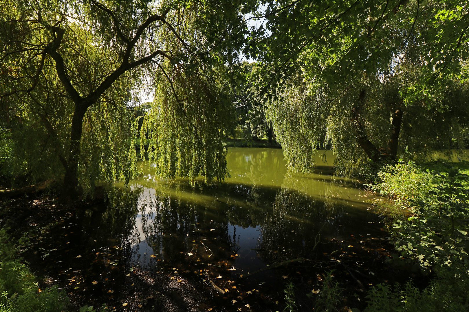 Lichtspiel am Ufer