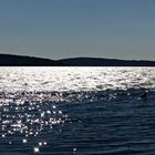 Lichtspiel auf dem Wasser