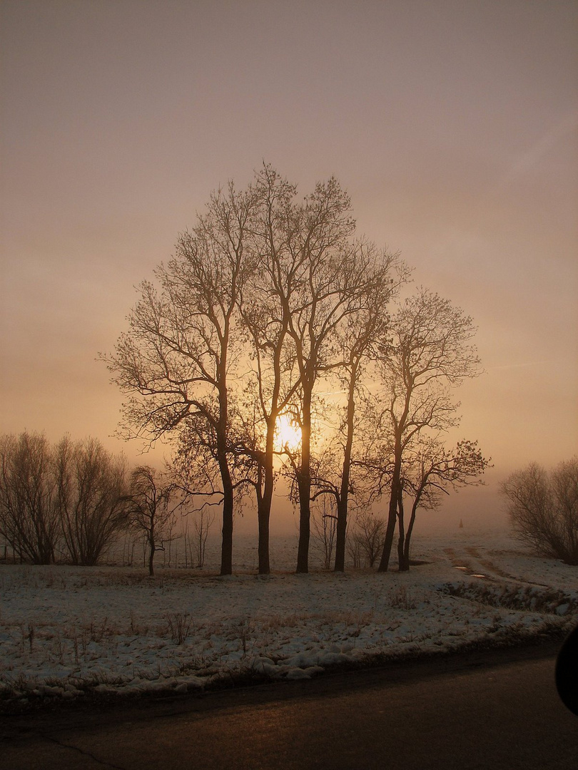 Lichtspiel