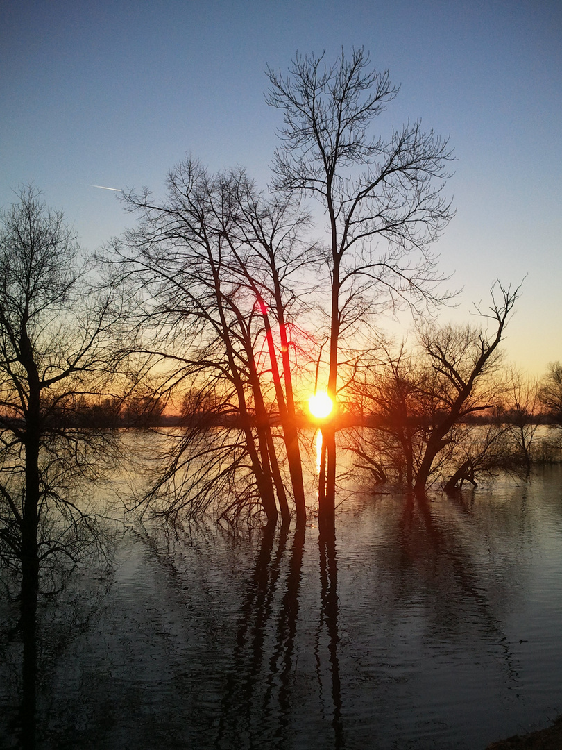 Lichtspiel bei Hochwasser