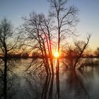 Lichtspiel bei Hochwasser