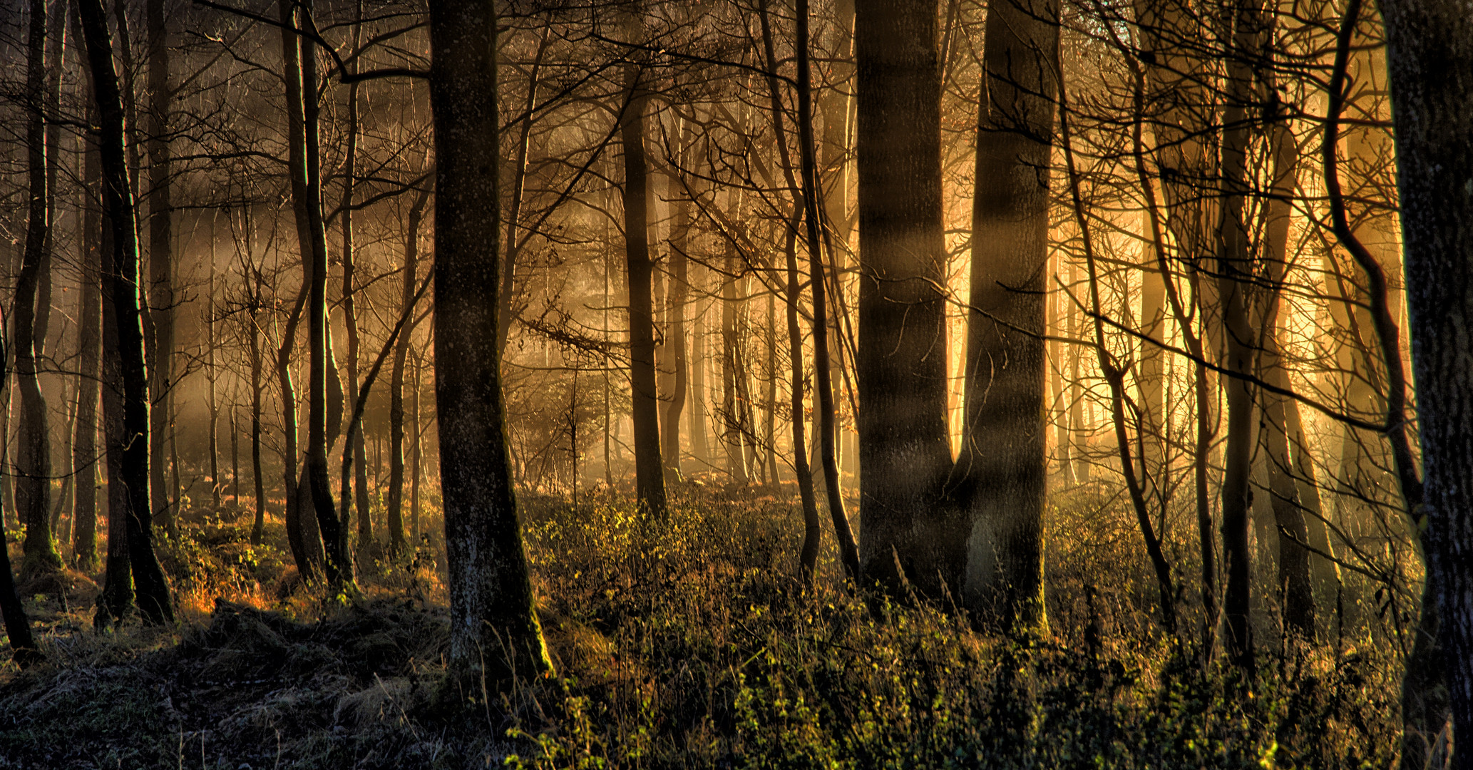 Lichtspiel