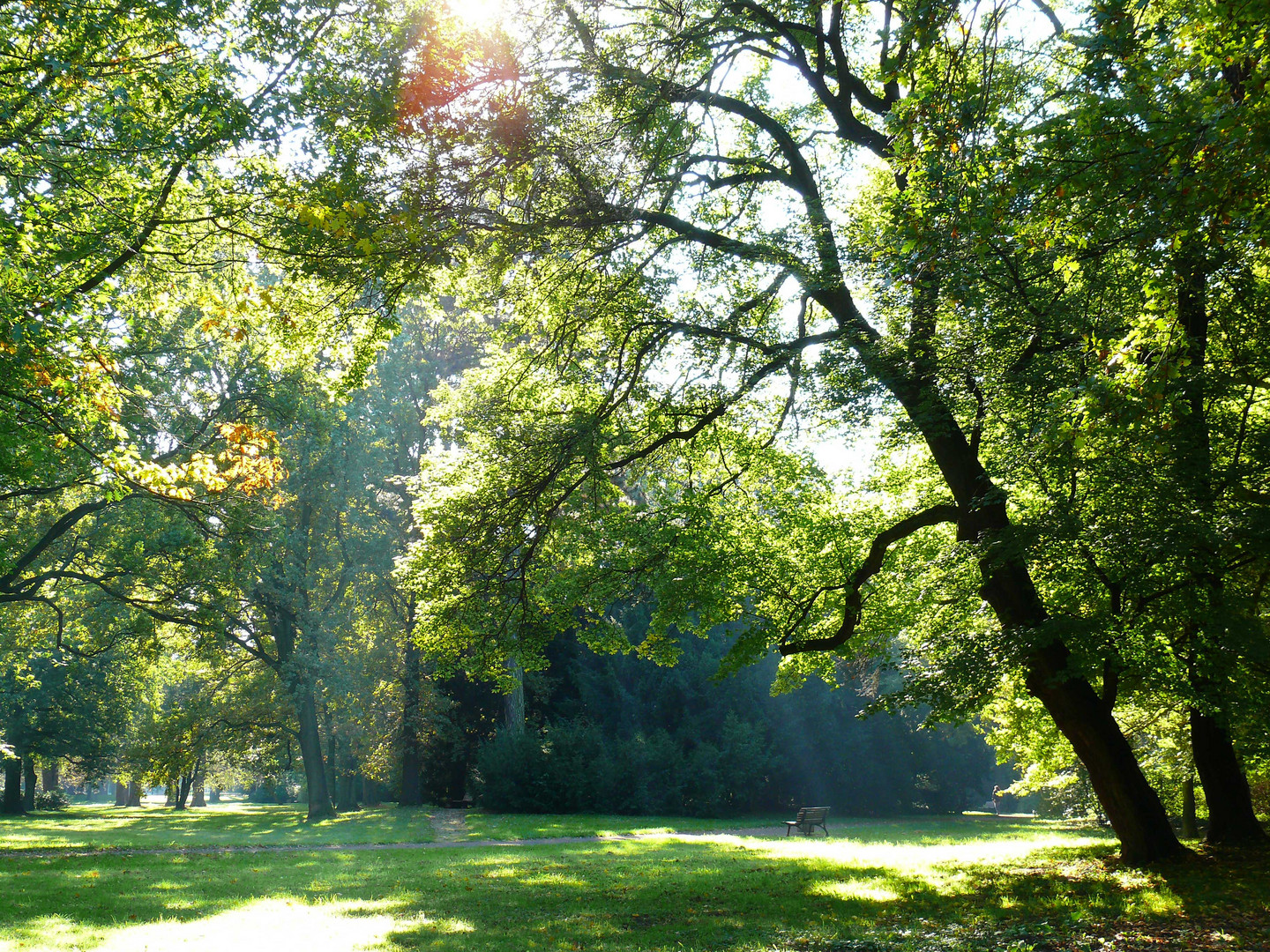 Lichtspiel der Herbstsonne