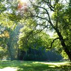 Lichtspiel der Herbstsonne