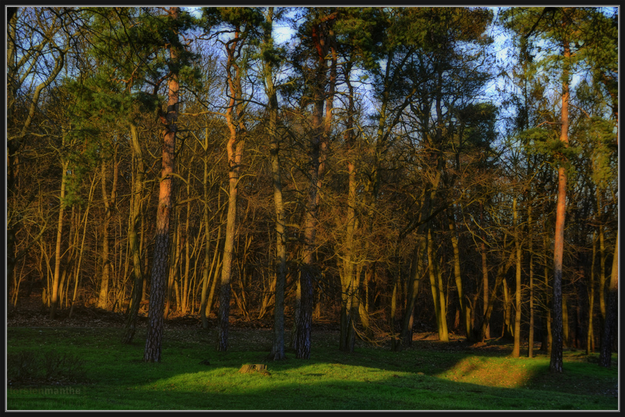 Lichtspiel der Sonne