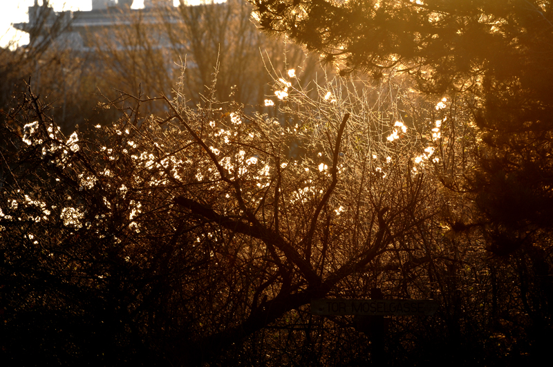 Lichtspiel der Sonne