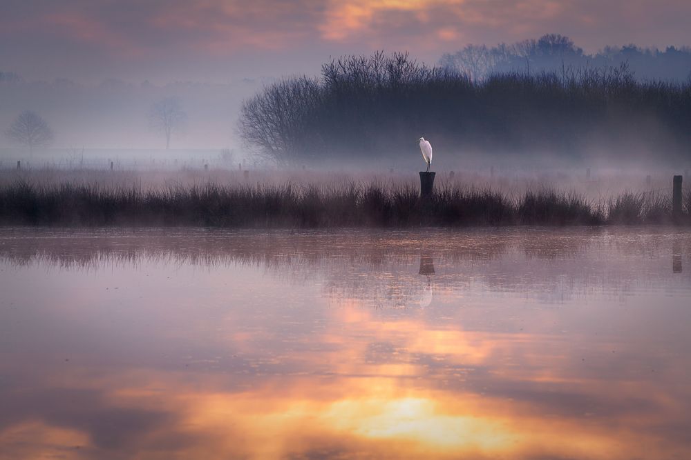 Lichtspiel im Morgengrauen