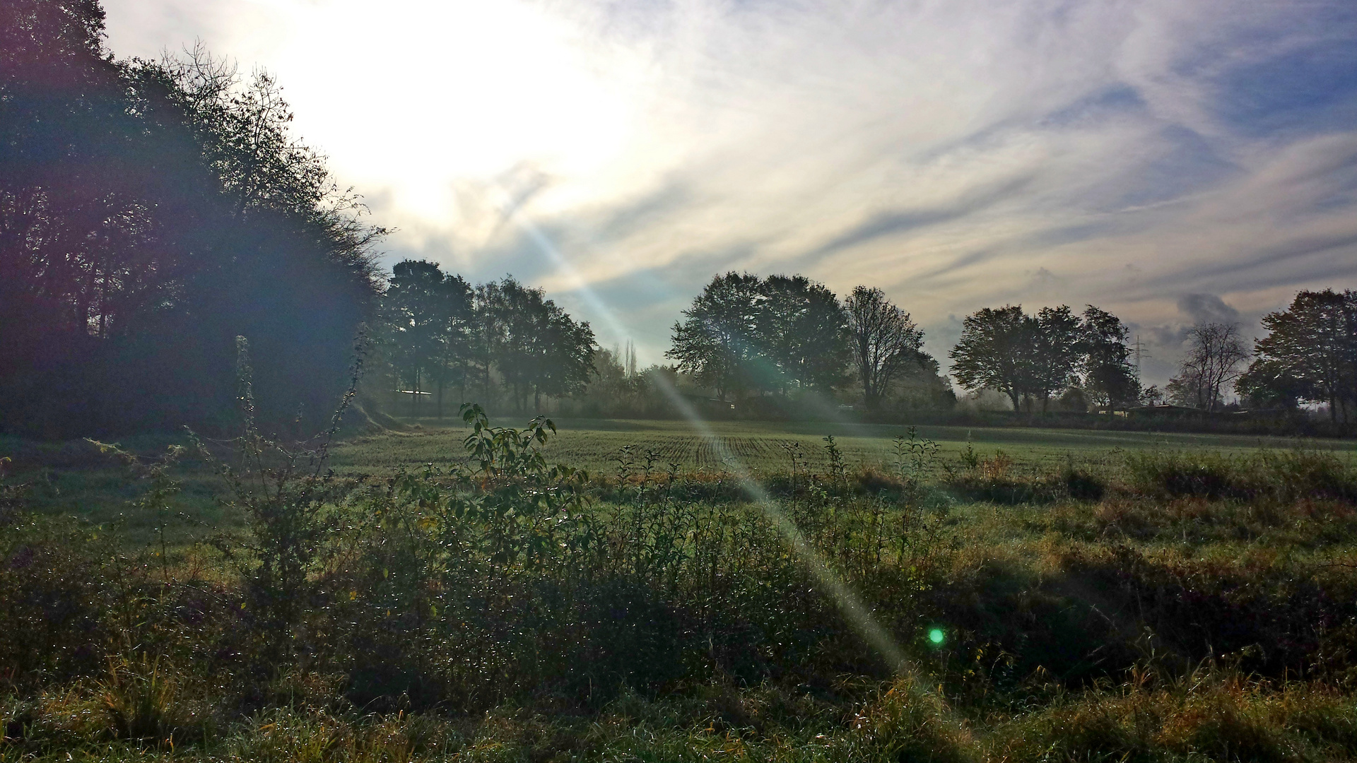 Lichtspiel im Nebel