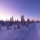 Lichtspiel im Schnee