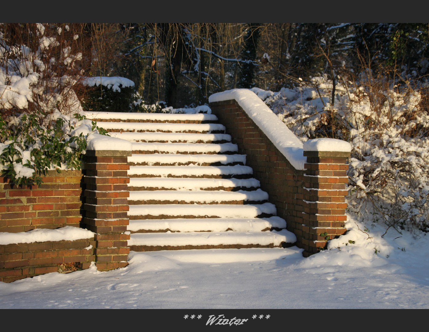 Lichtspiel im Winter