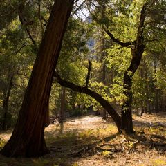 Lichtspiel im Yosemite Tal