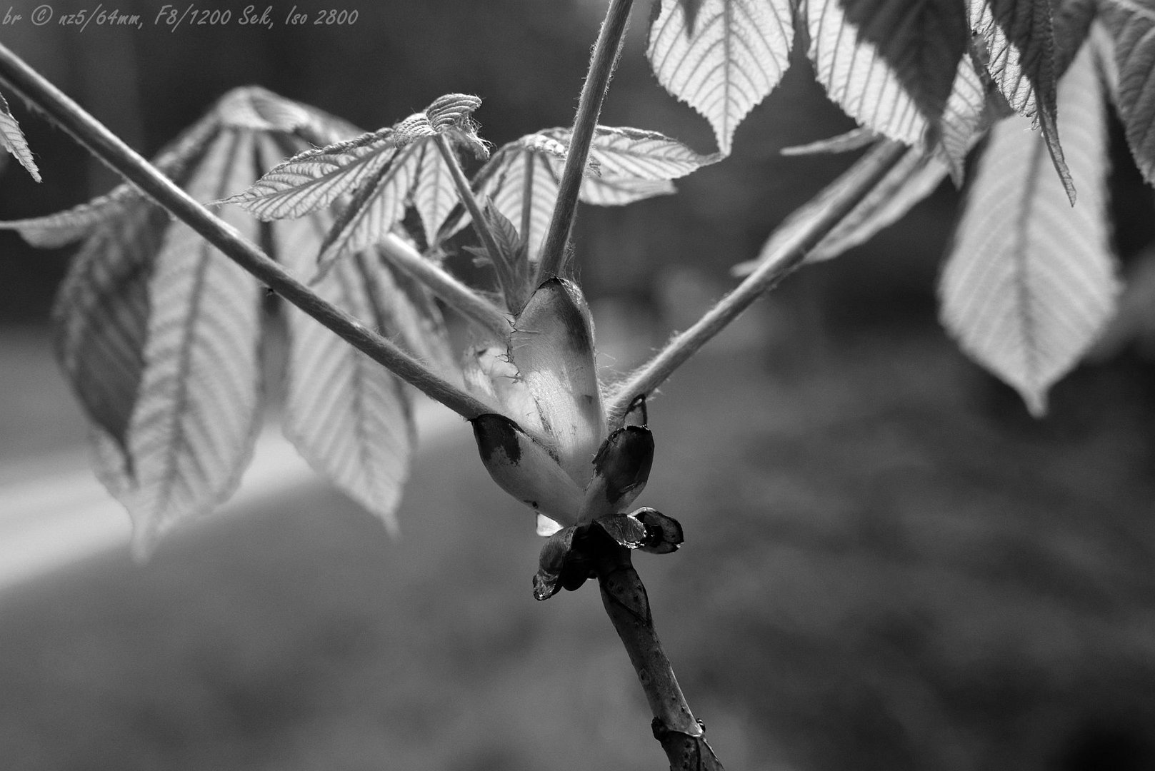 Lichtspiel mit der Sonne