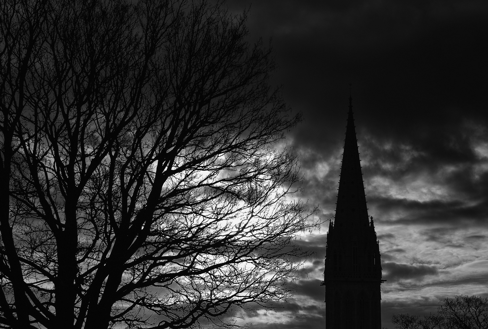 Lichtspiel mit Kirche und Baum