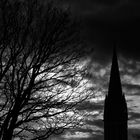 Lichtspiel mit Kirche und Baum