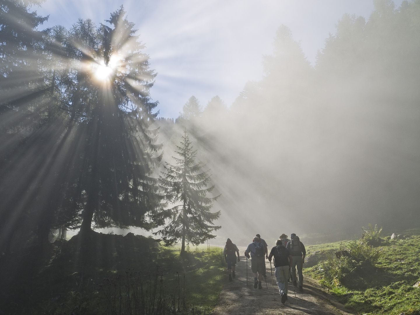 Lichtspiel während einer Bergwanderung