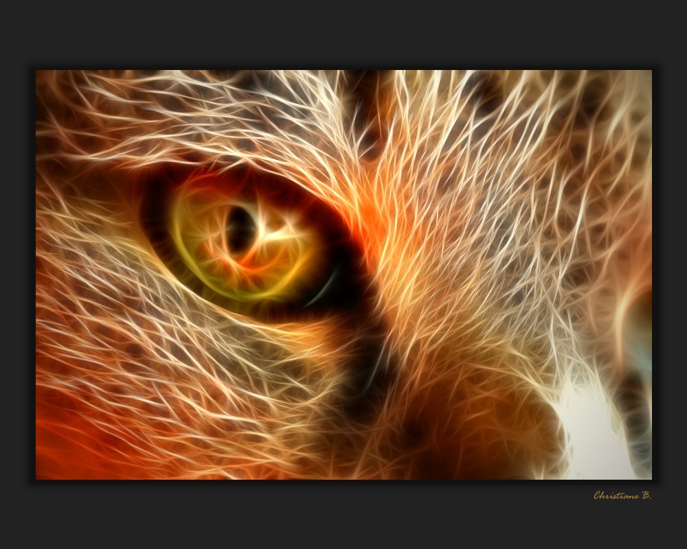 Lichtspiele 09 - Eye of the tiger