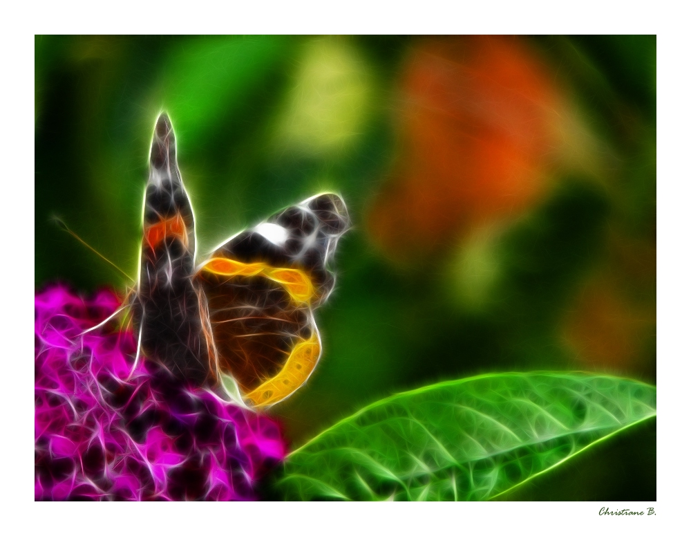 Lichtspiele 24 - der Schmetterling
