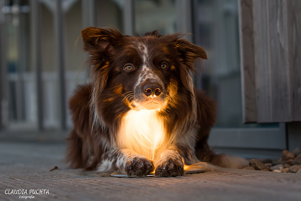 Lichtspiele