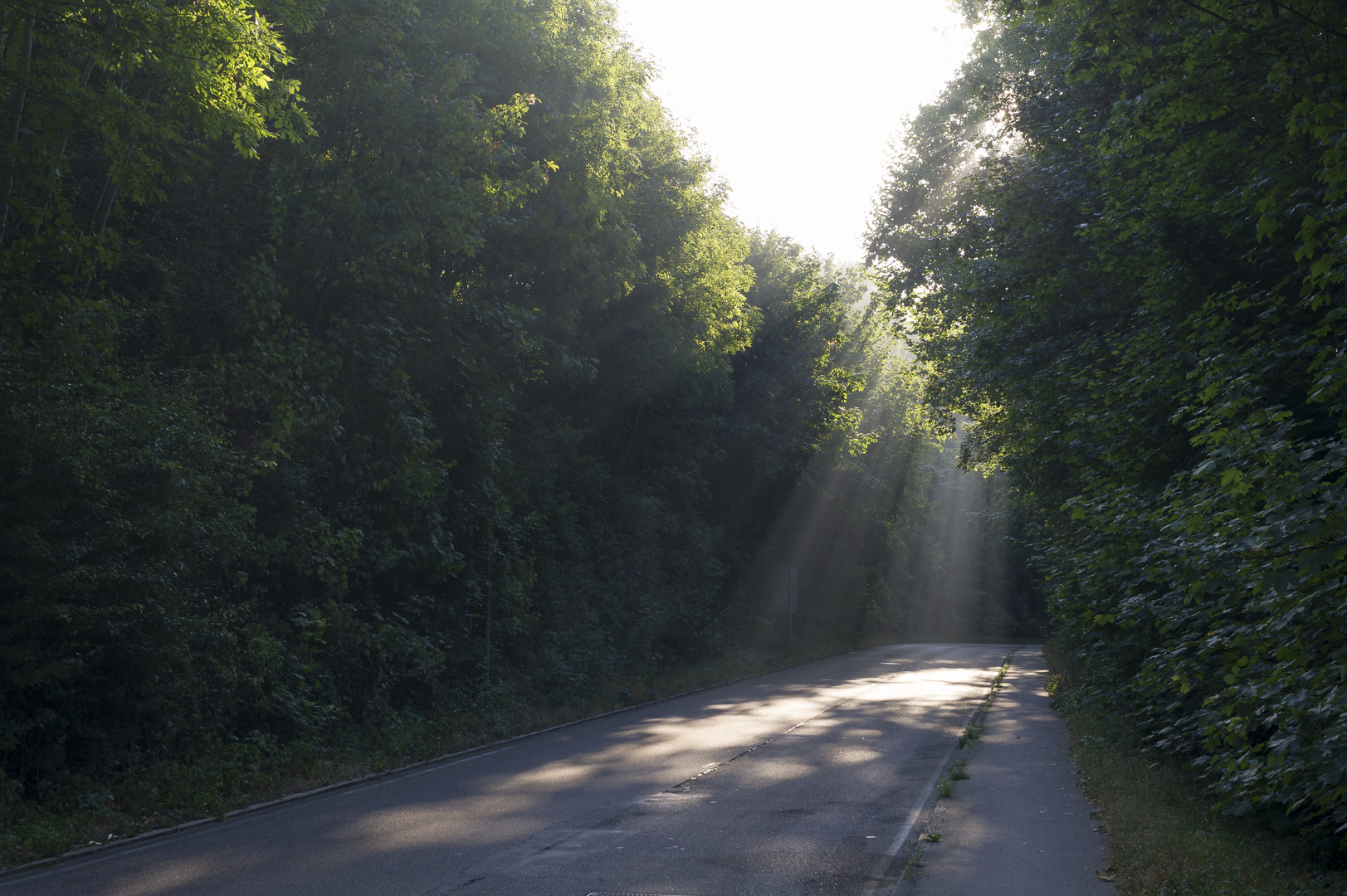 Lichtspiele