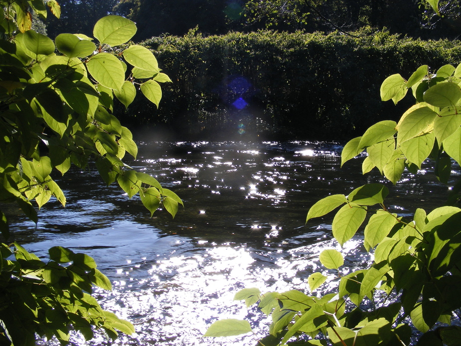 Lichtspiele