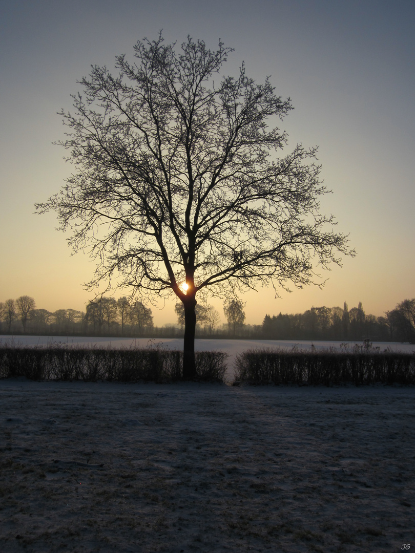 Lichtspiele