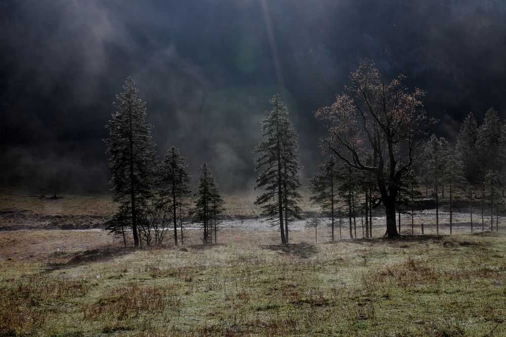 Lichtspiele am Großen Ahornboden