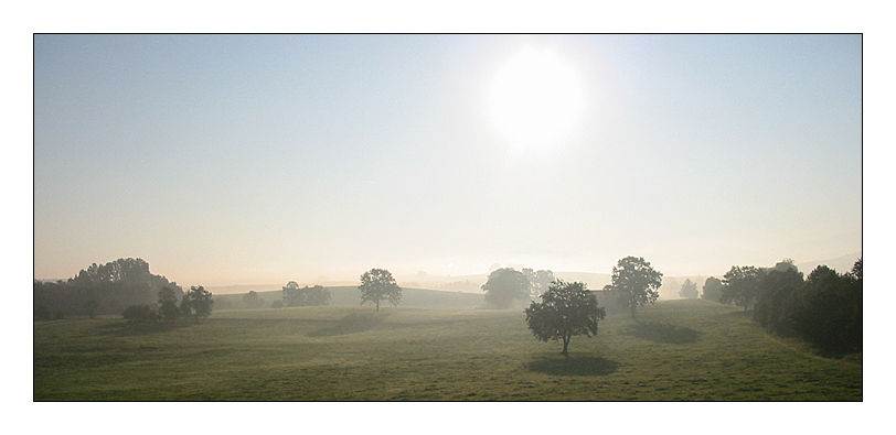 Lichtspiele am Morgen