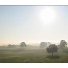 Lichtspiele am Morgen