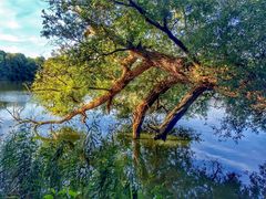 Lichtspiele am See