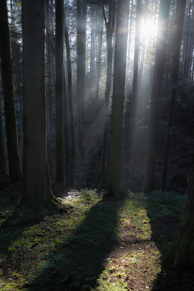 Lichtspiele