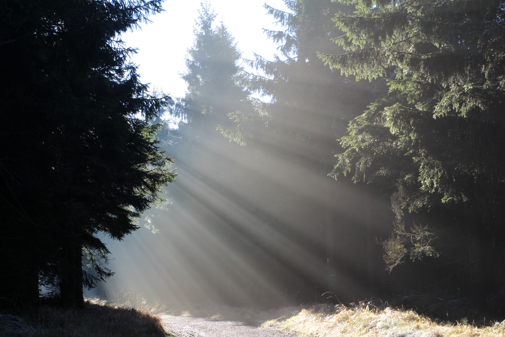 Lichtspiele im Dezember