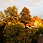 Lichtspiele im Herbst