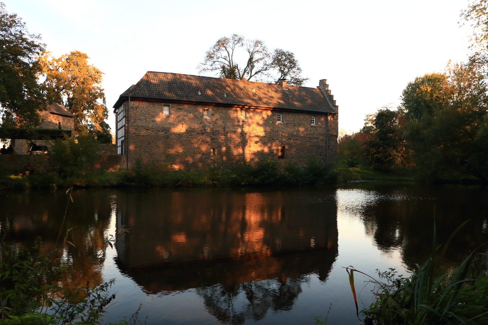 Lichtspiele im Herbst