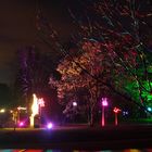 Lichtspiele im Palmengarten in FFM