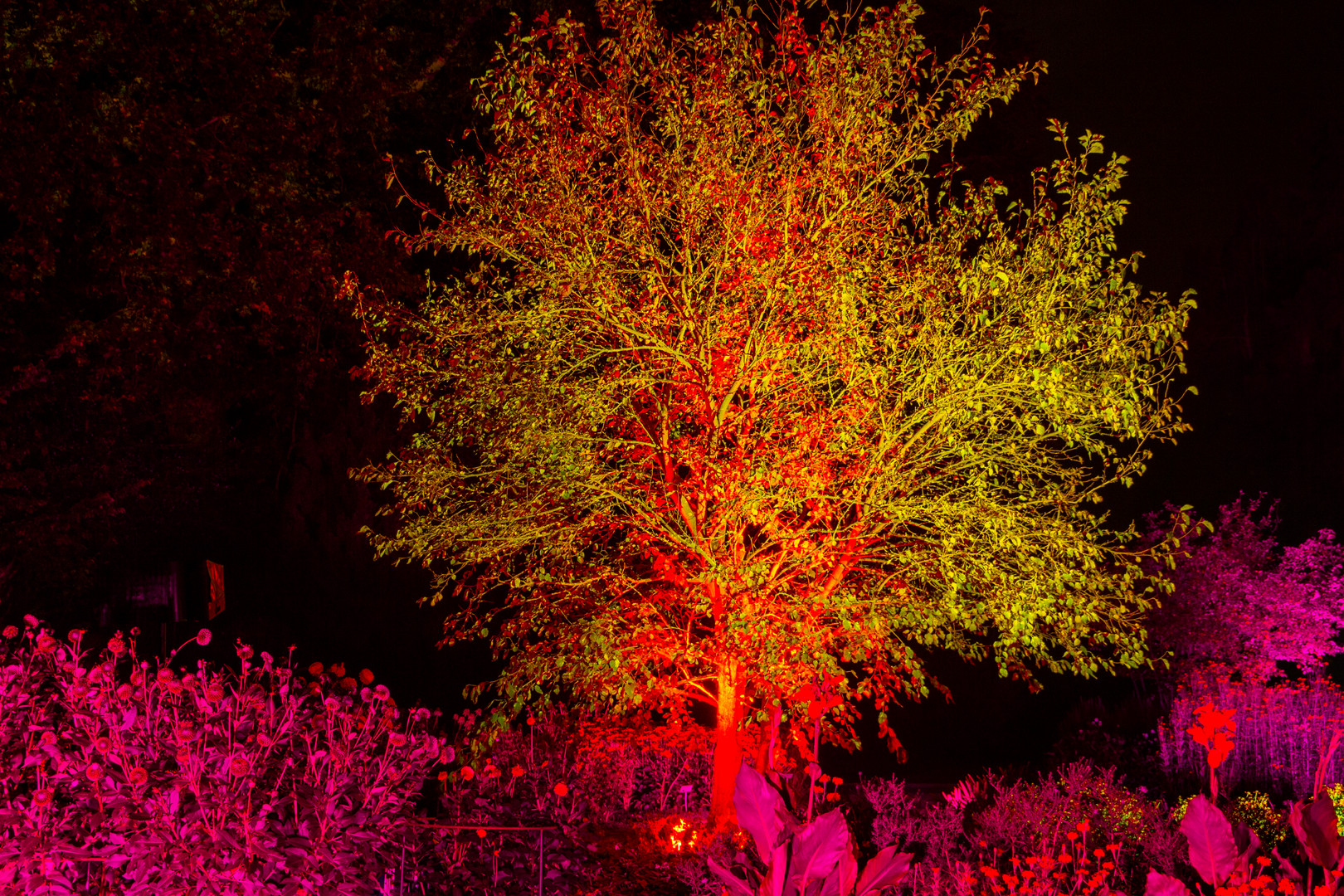 Lichtspiele im Park I Foto & Bild landschaft, garten