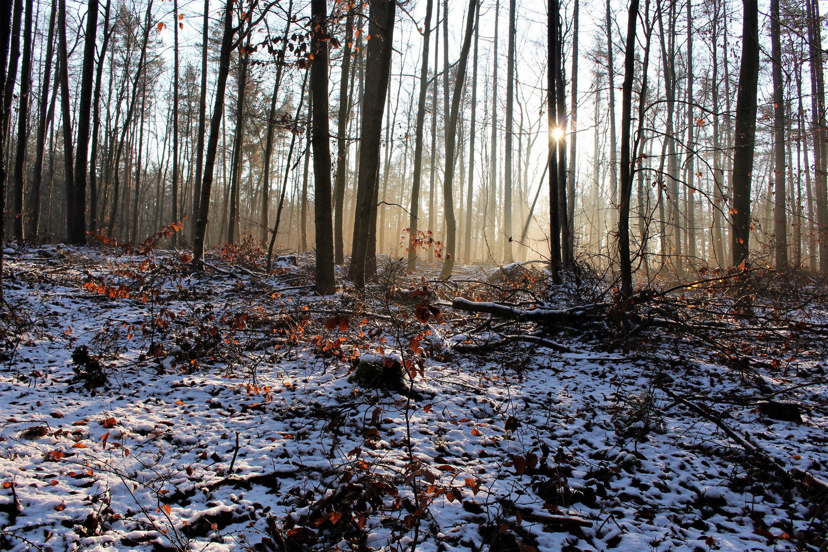 Lichtspiele im Winter