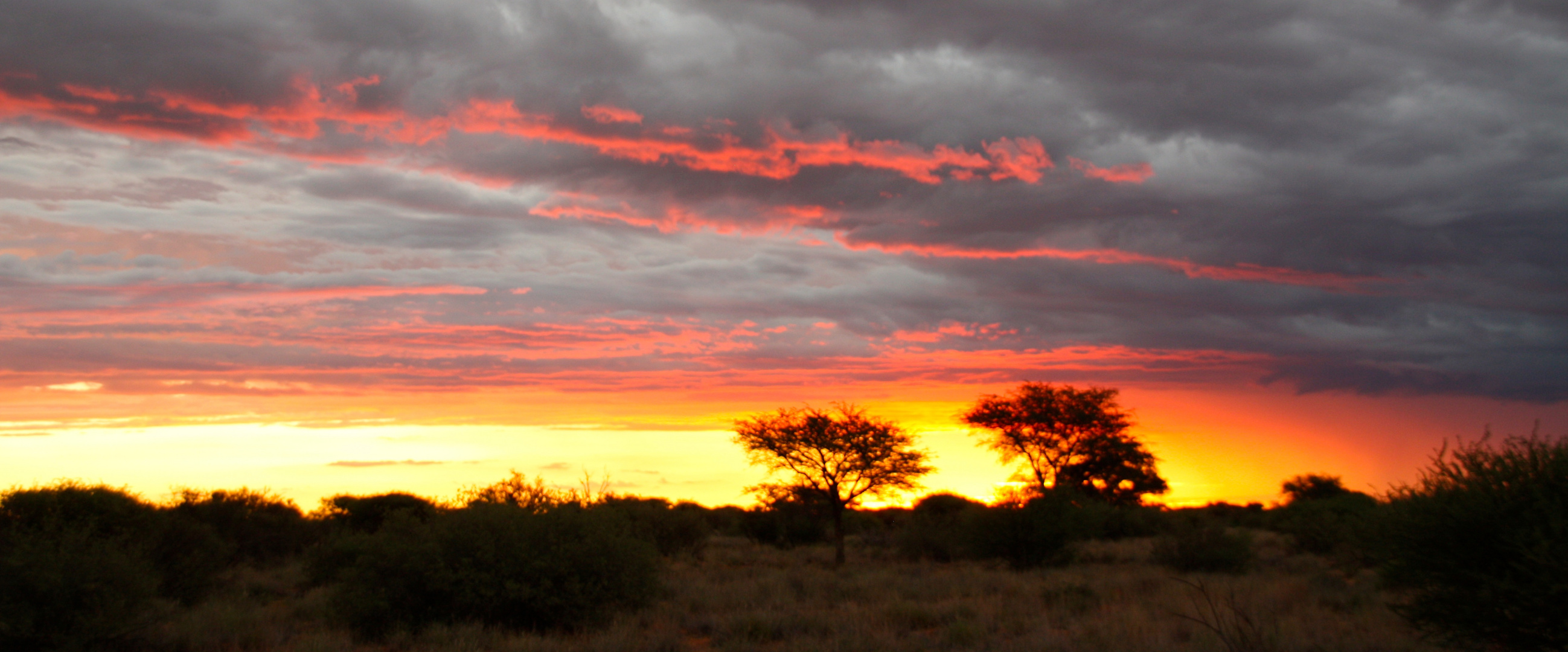 Lichtspiele in der Kalahari