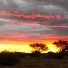 Lichtspiele in der Kalahari