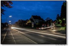 Lichtspiele unter der Kirschblüte