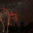 Lichtspielerei mit dem Sternenhimmel