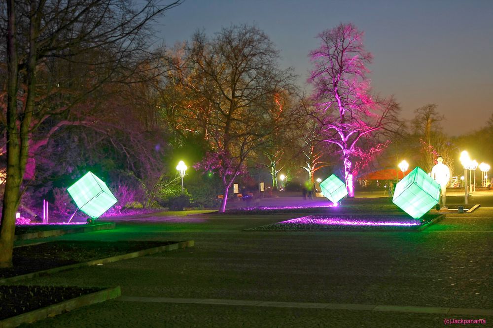 Lichtspielereien im Rahmen des Parkleuchtens im Grugapark