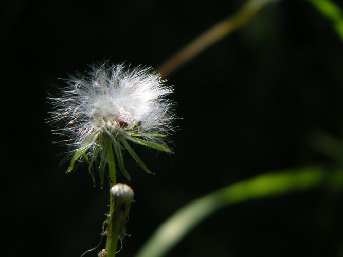 Lichtspielerein