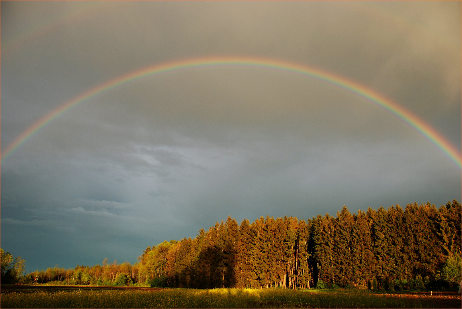 lichtspielerein der natur