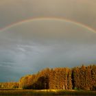 lichtspielerein der natur