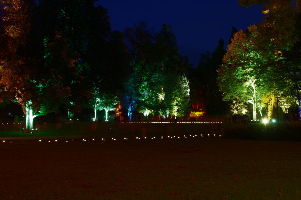 Lichtspuren 2 - Blick in den Park