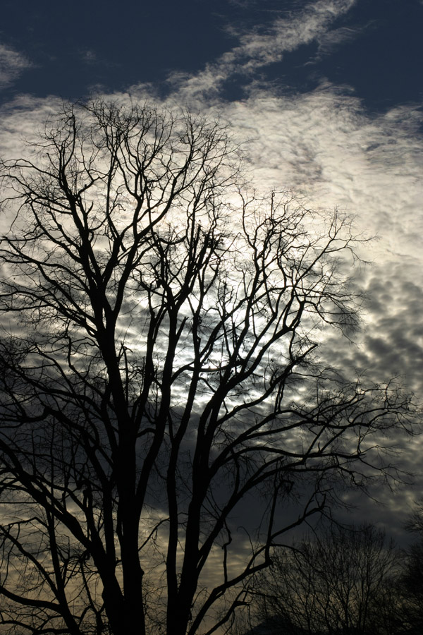 Lichtstimmung von Andreas Jackson