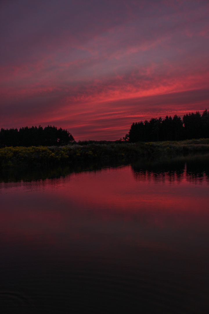 Lichtstimmung Abends!