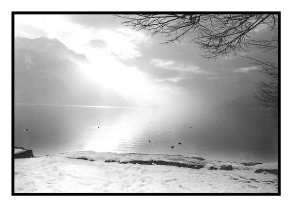 Lichtstimmung am Brienzersee