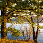 Lichtstimmung am Edersee # 2