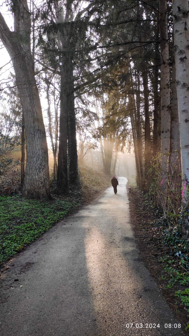 Lichtstimmung am Morgen 